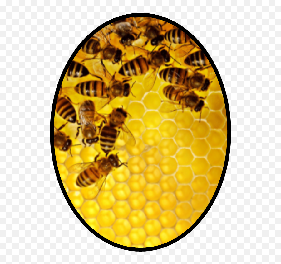 Download Inventing The Next Generation Of Occupancy Sensors Emoji,Find Pics Of Downloadable Bee Emojis