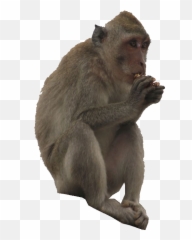 Uppercut Mugen Database Fandom Emoji,Kung Fu Emoticon Gif -panda