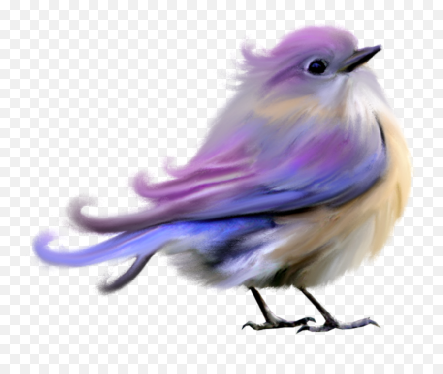 Mq Purple Bird Birds Sticker - Purple Lovebird Emoji,Purple Bird Emoji