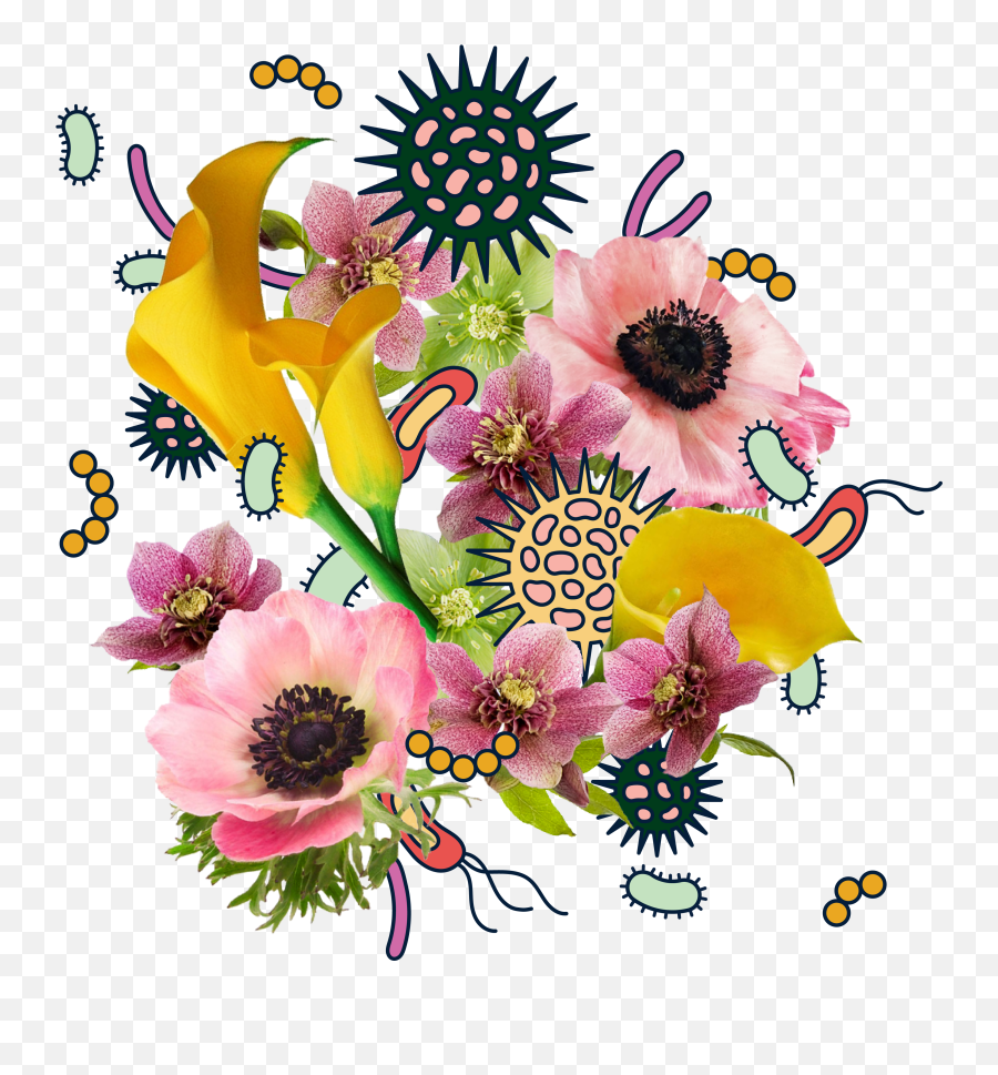 Why Are Black Women Disproportionately - Floral Emoji,You Re Like A Plant But With More Complicated Emotions