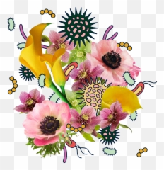 Why Are Black Women Disproportionately - Floral Emoji,You Re Like A Plant But With More Complicated Emotions
