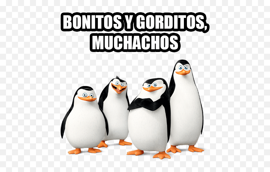 Los Pingüinos De Madagascar Stickers Emoji,Emojis De Pinguinos Utilizables