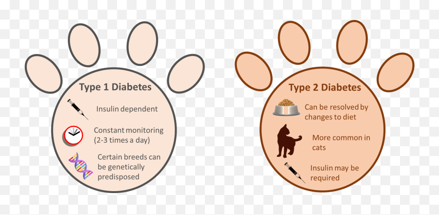 Monitoring Glucose In Diabetic Pets - Diabetes In Animals Emoji,Emotions And How They Affect Type 1 Diabetes Glucose Levels Chart