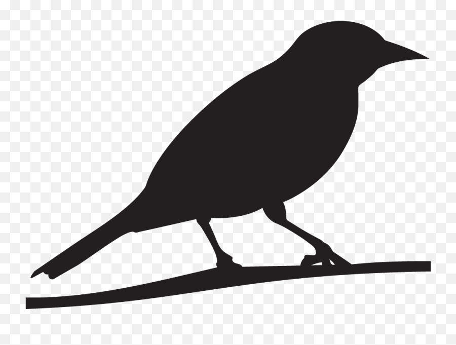 Falcon Clipart Oriole Bird Falcon - Baltimore Oriole Silhouette Emoji,Oriole Emoji