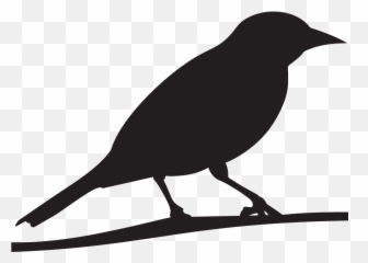 Falcon Clipart Oriole Bird Falcon - Baltimore Oriole Silhouette Emoji,Oriole Emoji