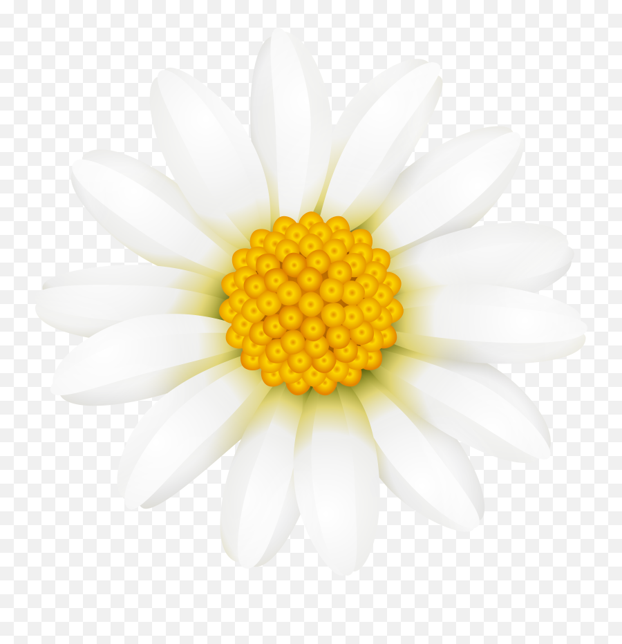 Download Daisy Flower Crown Transparent Download - Full Size Emoji,Emoji With Flower Crown & Ducces