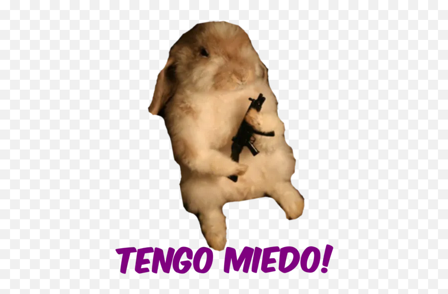 Memes Animales 3 By Dominsf - Sticker Maker For Whatsapp Emoji,Emojis Miedo Memes Animales 3 By Dominsf - Sticker Maker For Whatsapp Emoji,Emojis Miedo