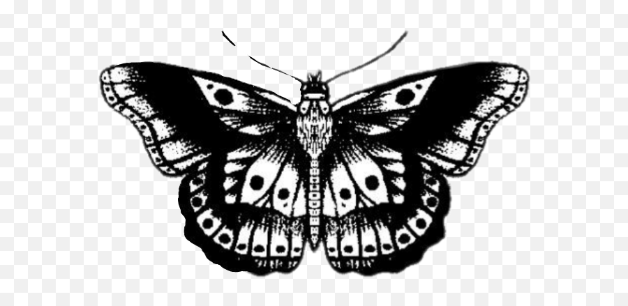 See Unicornpanda2 Profile - Harry Styles Butterfly Tattoo Emoji,Joe Sugg Emoji
