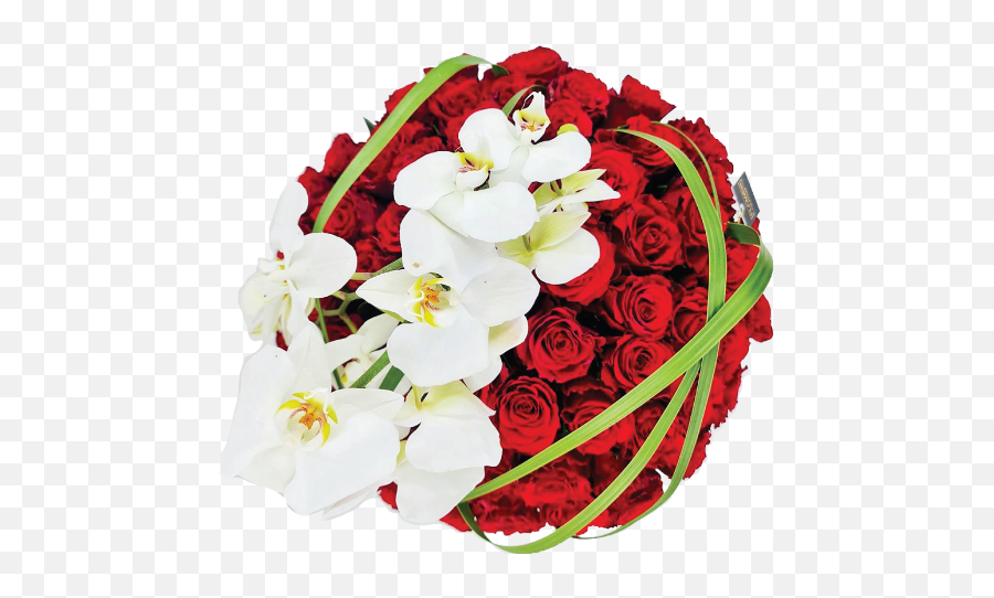 Home V3 Full Color Background Flower Boutique - Floral Emoji,Dragon Blood Red Emotion Feeling