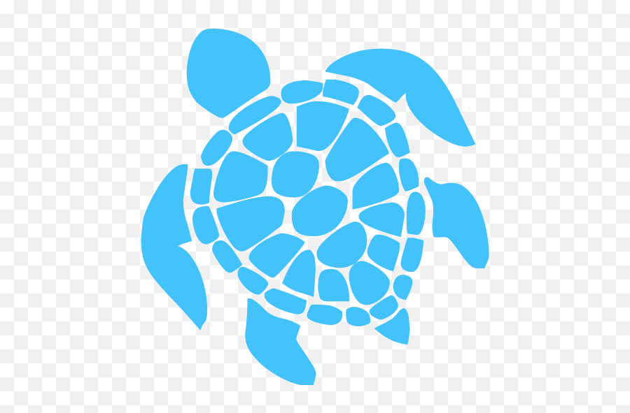 Caribbean Blue Turtle Icon - Clean Swell App Emoji,Fb Turtle Emoticon