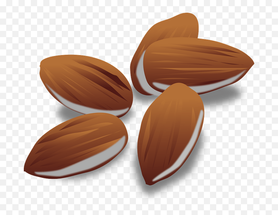 Almonds Clipart - A1c Emoji,Nuts Emoji