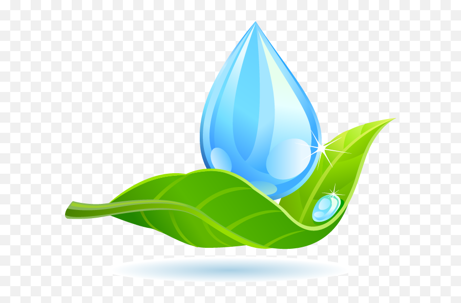 Leaf Water Dew Drop Transparent Background Png Mart Emoji,Water Emoji Transparent Background