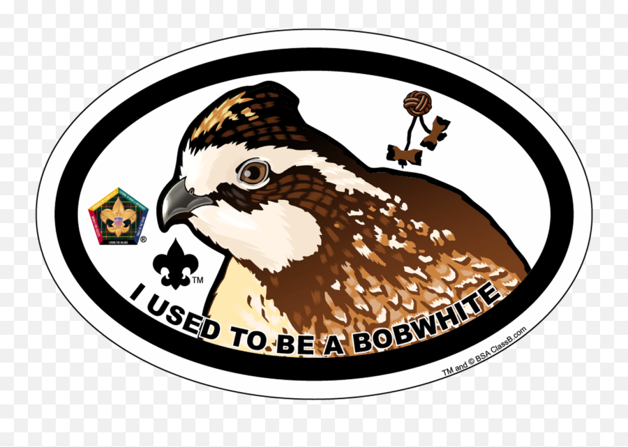 Oval Woodbadge Wood Badge Bobwhite Pin Emoji,Kermit Tea Emojis