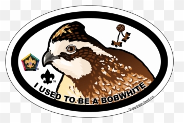 Oval Woodbadge Wood Badge Bobwhite Pin Emoji,Kermit Tea Emojis