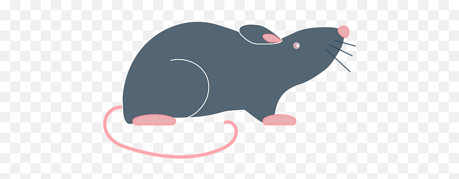 Home Dallas Tissue Emoji,Rat Emoji