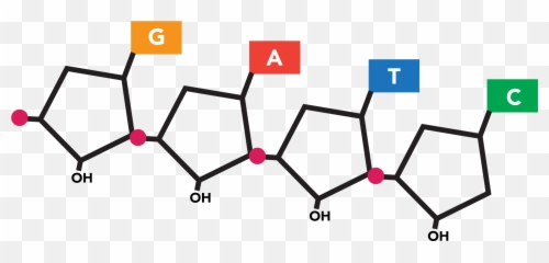 Molecular Biology Emoji,Dna Double Helix Emoji