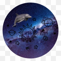 The Most Edited - Common Bottlenose Dolphin Emoji,Dolphin Emoji Pillow
