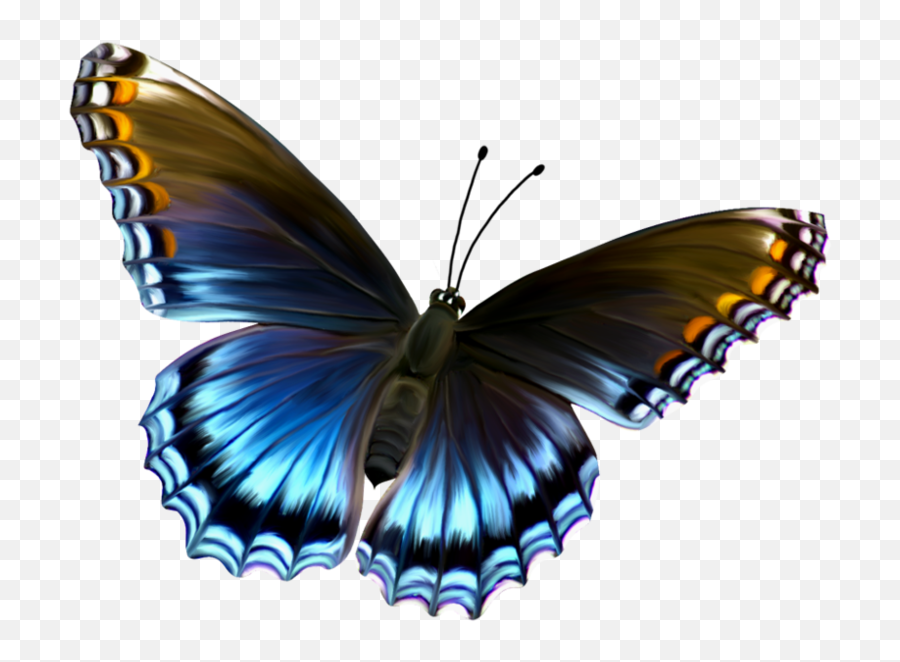 Amazing Butterfly Png Official Psds - Butterfly Image Hd Download Emoji,Butterfly Emoji Transparent