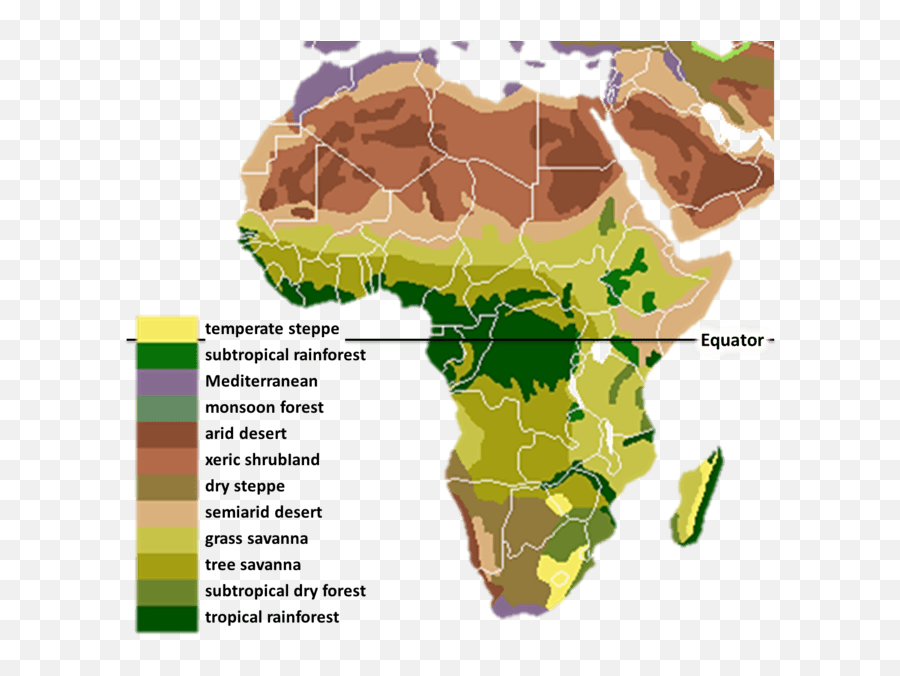 Chimpanzees Once Helped African Rainforests Recover From A - Biomes Of Africa Emoji,Chimp Emotions