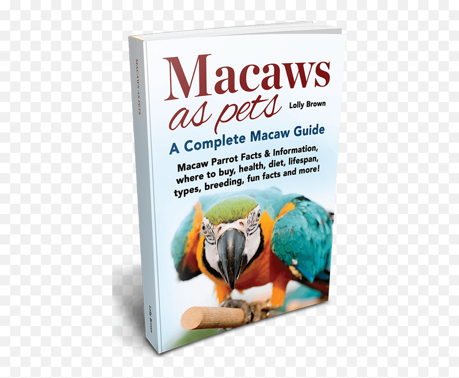 African Grey Parrots Landing - Macaw Emoji,African Grey Parrot Reading Emotions