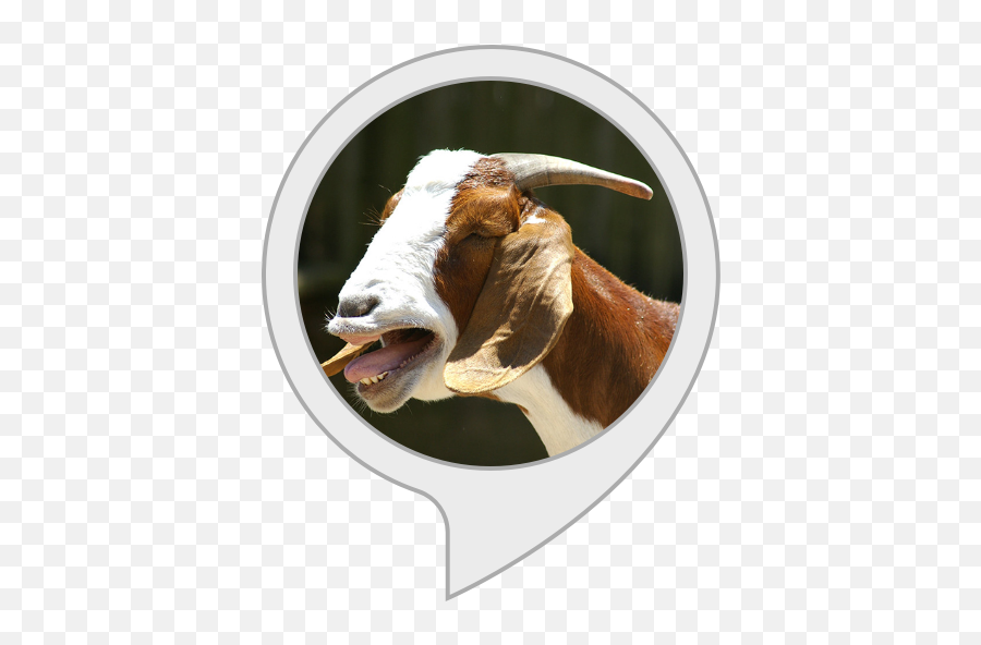 Amazoncom Screaming Goat Alexa Skills - Goat Emoji,Goat Emoticon