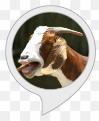 Amazoncom Screaming Goat Alexa Skills - Goat Emoji,Goat Emoticon