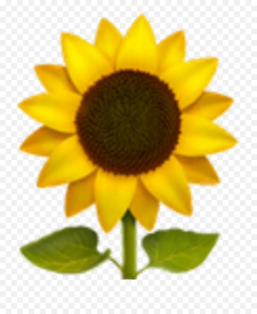 Edit Emoji Apple Ios Sticker - Aesthetic Sunflower Emoji Transparent,How To Edit Apple Emoji