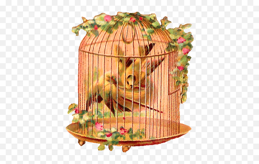 5 Meditations To Help You Break Free From The Grip Of - Birdcage Transparent Emoji,Cage Emotion