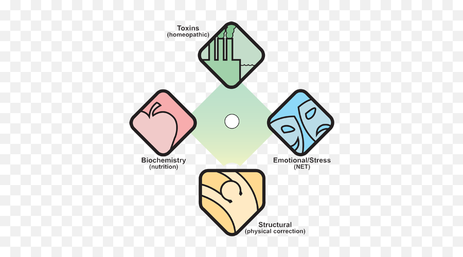 Cj Chiropractic - Chiropractor In Colorado Springs Co Usa Neuro Emotional Net Therapy Emoji,Chemical Formula Of Emotions