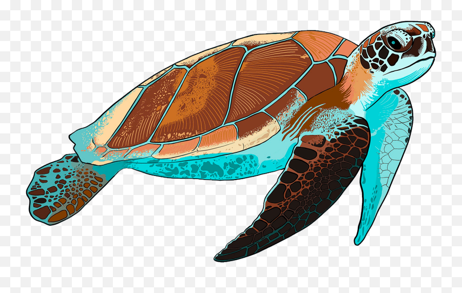 Sea Turtle Clipart - Sea Turtle Clipart Emoji,Sea Turtle Emoji