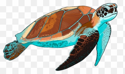 Sea Turtle Clipart - Sea Turtle Clipart Emoji,Sea Turtle Emoji