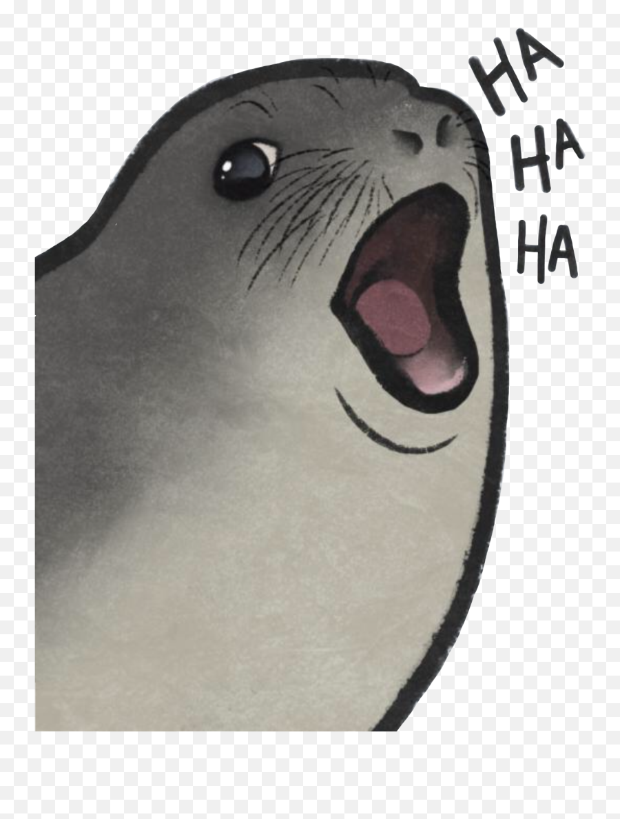 Haha Seal Hahaha Lol Cute Sticker By Morley Chloe - Canine Tooth Emoji,Sea Lion Emoji