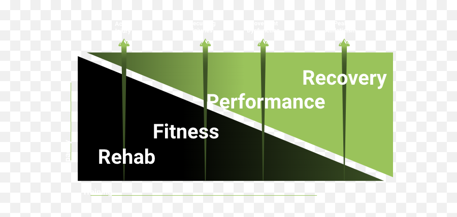 Chiropractic Rehab U2013 Active Bodywork - Vertical Emoji,Muscle Flex Emoji