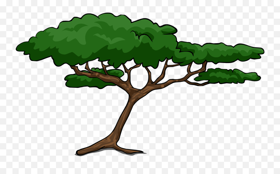 Found On Bing From Wwwclipartbestcom Tree Drawing - African Tree Clipart Emoji,Deciduous Tree Emoji