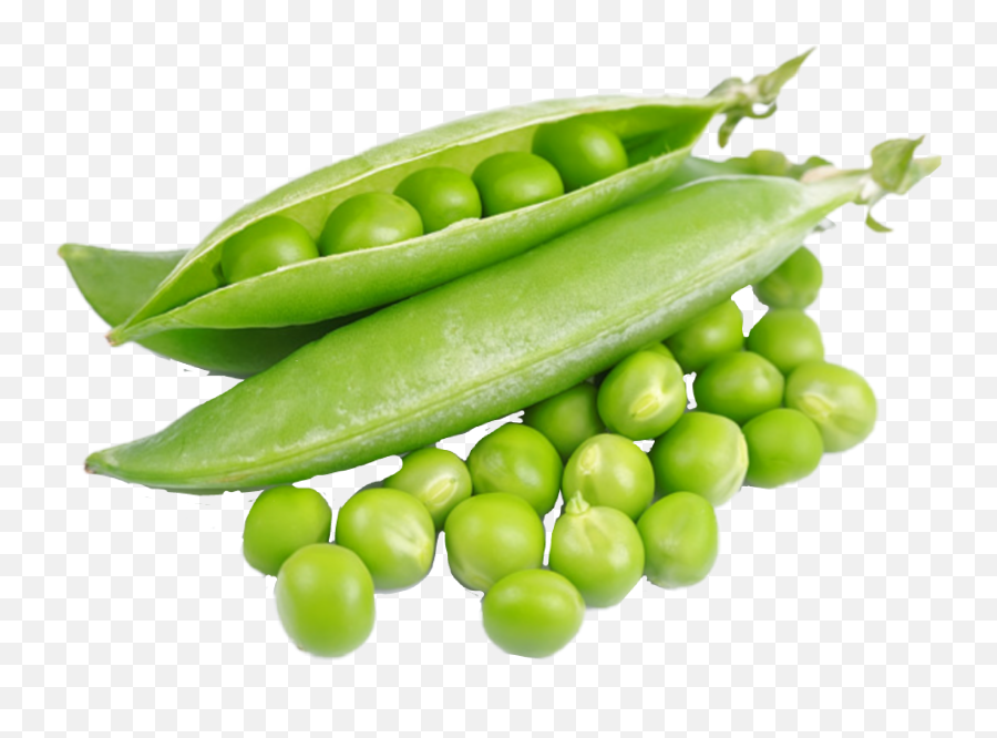 The Most Edited Peas Picsart - Fresh Green Peas Emoji,Peas In A Pod Emoji