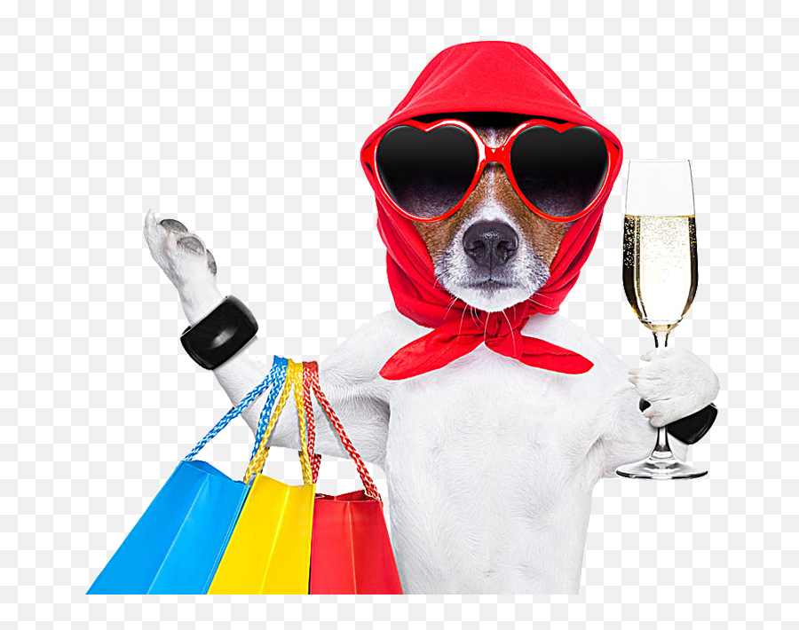 Download Shop Shopping Pet Photography - Dog Shopping Png Emoji,Wine Cocktail Martini Sailboat Emoji