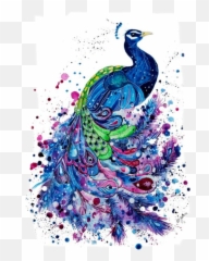 Peacock Emoji,Peacock Emoji