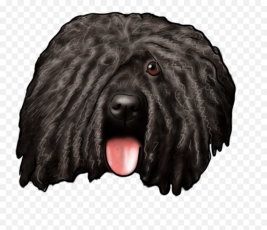 Silly Right Why Emoji,Why My Scottish Terrier Doesn't Show Any Emotions