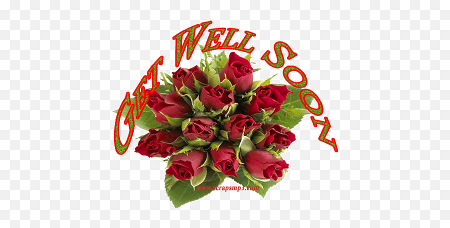 Top 30 Get Well Rose Gifs - Get Well Soon Message With Flowers Gif Emoji,Get Well Soon N Emoticons
