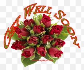 Top 30 Get Well Rose Gifs - Get Well Soon Message With Flowers Gif Emoji,Get Well Soon N Emoticons