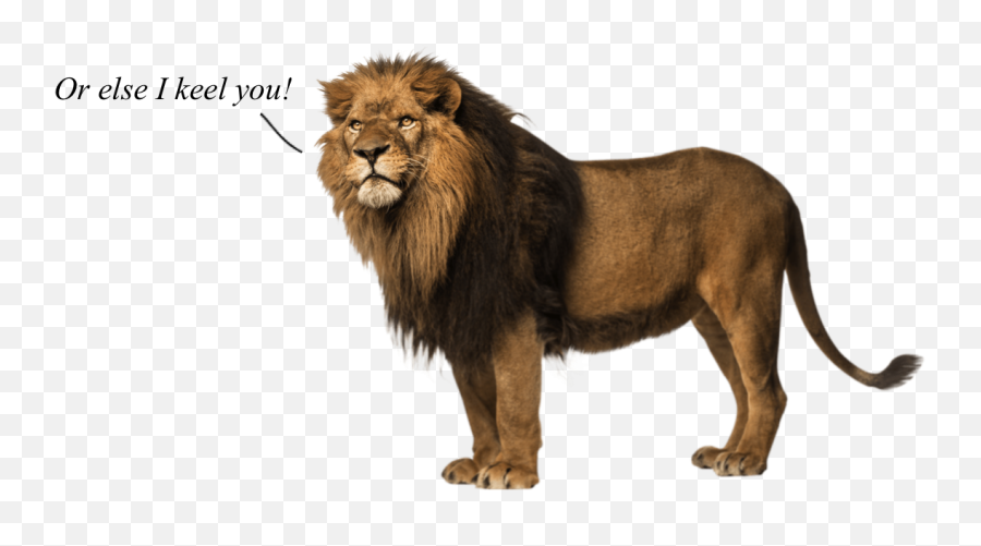 Never Feed Salad To A Lion Emoji,Lions Mastering Emotions