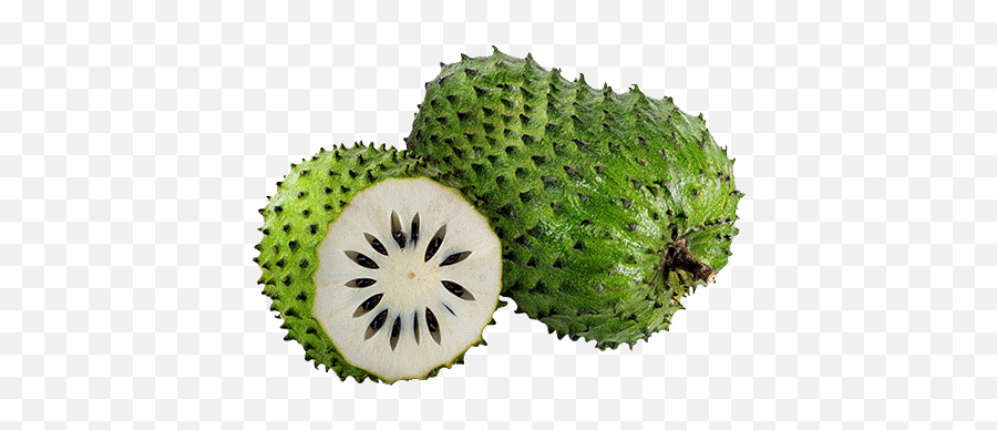 Graviola Fruit Puree Soursop 4kg 40x100g - Soursop Fruit Emoji,Emojis Eating Soursop Graviola Fruit Puree Soursop 4kg 40x100g - Soursop Fruit Emoji,Emojis Eating Soursop
