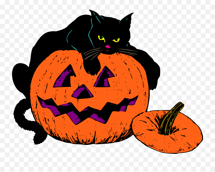 Announcements Subscribe To Posts Encourage Those You - Halloween Cat Png Emoji,Harry Potter And The Sorcerer's Stone Clips For Emotions