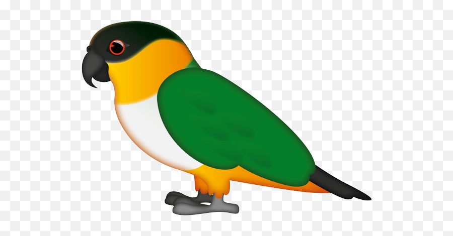 Fastest Black Bird Emoji - Parrots,Birbs Emoticon