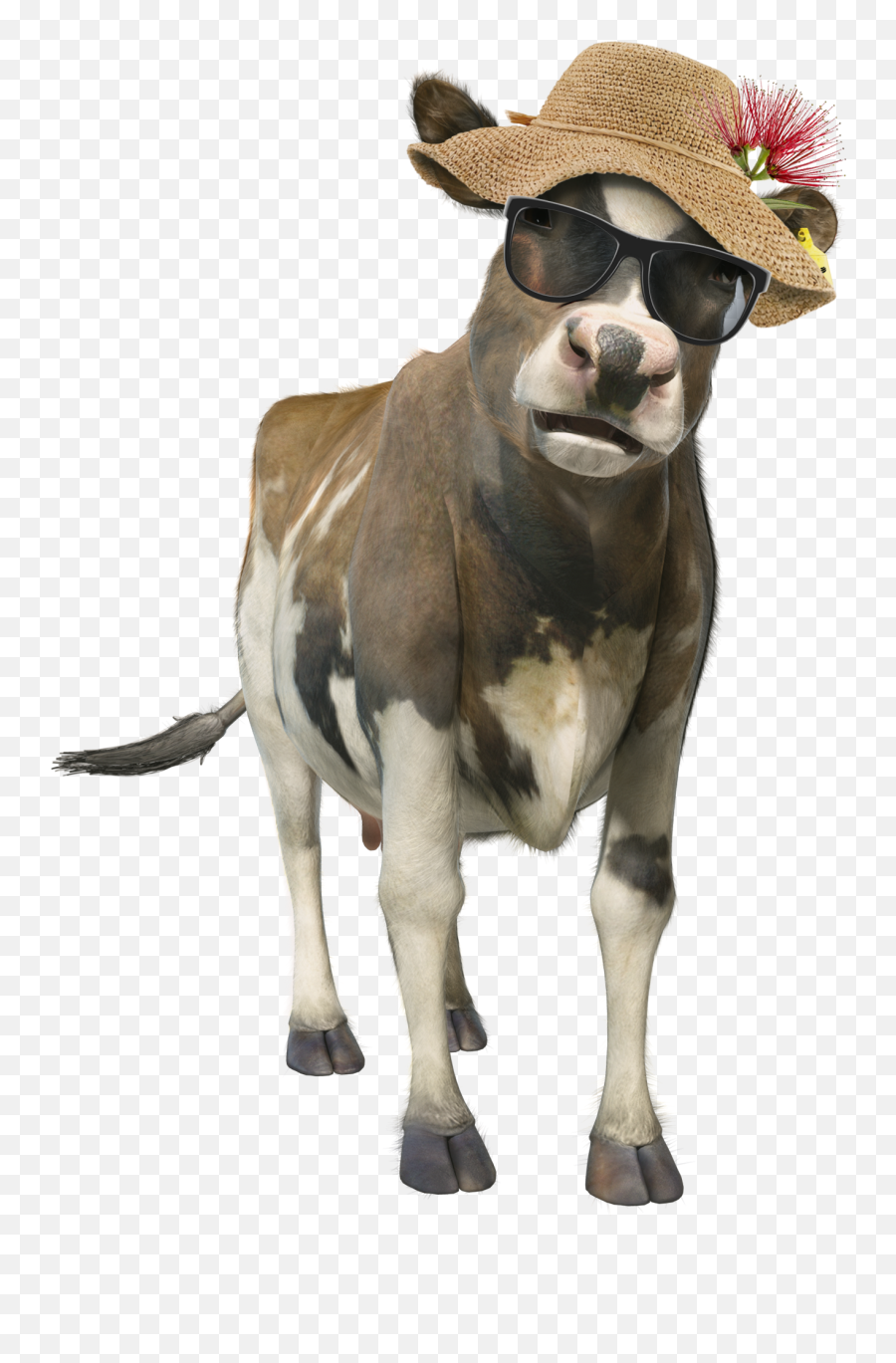 Cow Chill Out World - Cows Hot Transparent Emoji,Iono Emoji