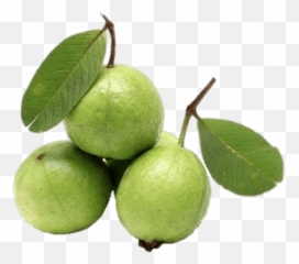500x500 - Fresh Guava Emoji,Guava Emoji