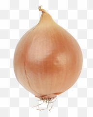 Bulb Onions Bulb Onions Vegetable Red Onion - Onion Png Onion Transparent Png Emoji,Onion Emoticon Gif