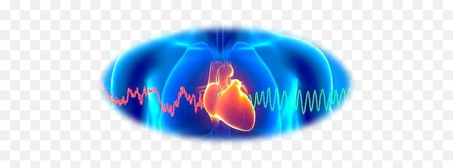 Workshops Classes Retreats U2014 Smeetau0027s Integrated Wellness - Heart Sounds Recorder Emoji,Mind Spirit Emotion/ High Resolution