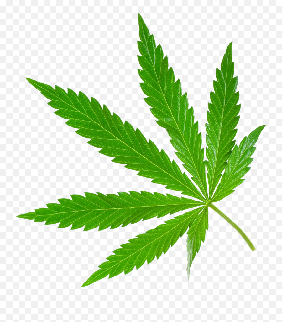 Weed Png - Cannabis Png Emoji,Weed Emoticon Reggae Transparent
