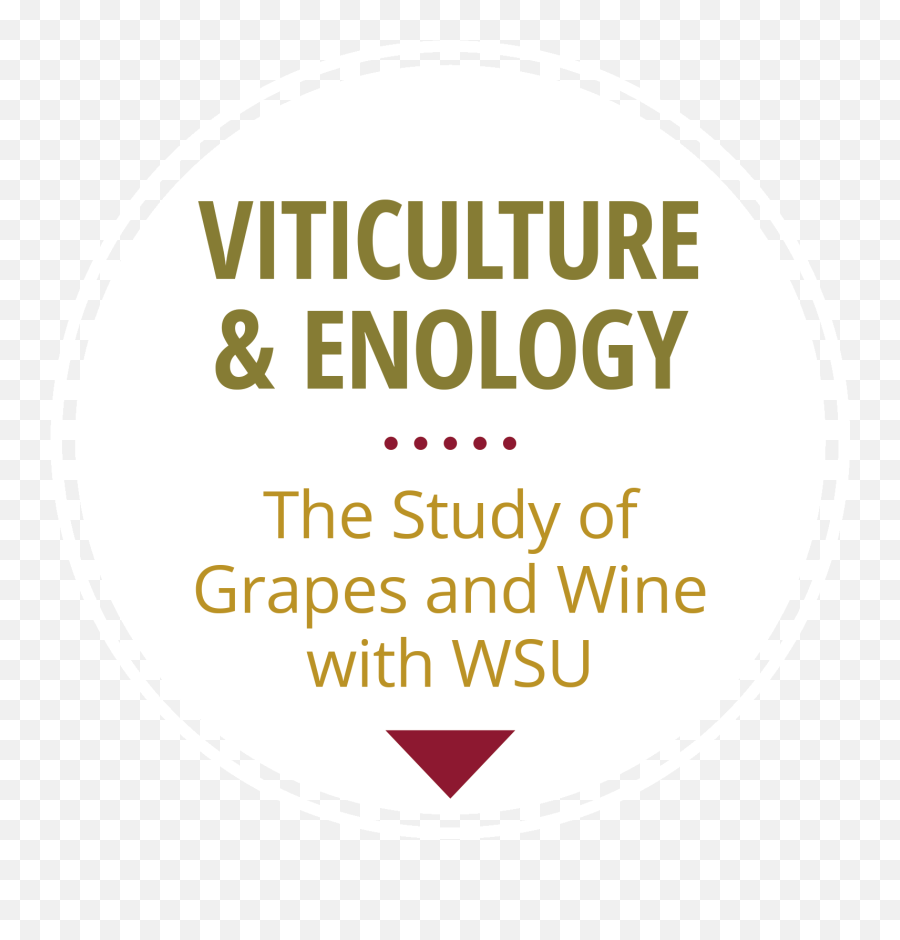 Grapes U0026 Vineyards Wsu Viticulture And Enology - Lao Emoji,Facebook Emoticons Grapes